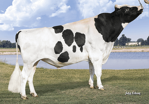 WWSires Holstein Sires
