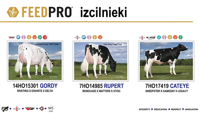 WWSires vaislinieki pēc 2025.gada aprīļa vērtējuma